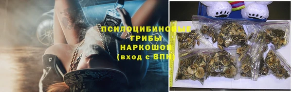 мяу мяу мука Арсеньев