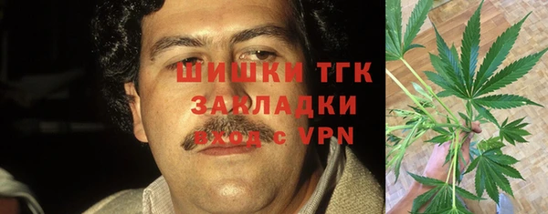 спайс Алзамай
