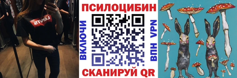 даркнет сайт  Клинцы  Псилоцибиновые грибы прущие грибы 